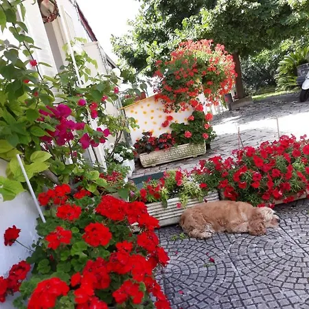 Bed & Breakfast Nonna Alba Vacanze Monte E Mare